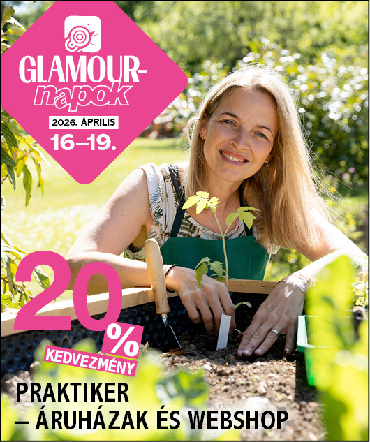 PRAKTIKER - Áruházak és webshop